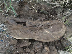 Müll0813 205.jpg (295.94 KiB) 10876 mal betrachtet Ein Saucony-Laufschuh in etwa meiner Größe. Da war ich doch etwas erschüttert wie verrottet der schon war. Außerdem erinnerte er mich daran, endlich mal wieder einen Teil meines Tragebestandes auszurangieren und zu vermüllen, denn manche meiner Schuhe gehören unbedingt in den Müll!