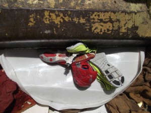 Müll0913 126.jpg (310.9 KiB) 5642 mal betrachtet Fest im Griff des Pressschildes!