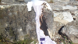 vlcsnap-2013-10-24-14h59m08s64.png (1.94 MiB) 10559 mal betrachtet Die Flammen breiten sich aus