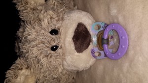 20131206_162742.jpg (821.96 KiB) 7335 mal betrachtet Er wartet