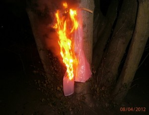 kleid 5.jpg