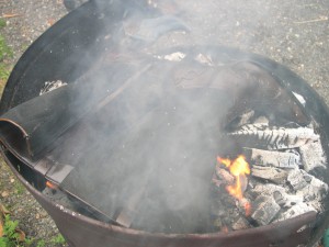 DSCN4620.JPG