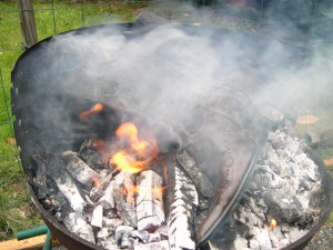 DSCN4616.JPG
