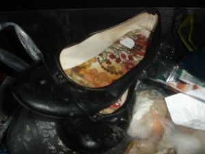 0DSC06948.JPG (69.31 KiB) 7485 mal betrachtet Lecker Ballerinas, leicht vom Müll versifft, aber einfach toll :)