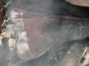 DSCN4642.JPG