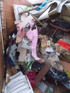 Müll1213 014.jpg (341.2 KiB) 10159 mal betrachtet Eine ziemlich "heiße Ecke" in dem vielen Gerümpel!