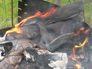 DSCN4656.JPG