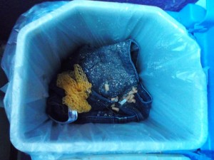 Müll0214 021.jpg (310.38 KiB) 4845 mal betrachtet Die kaputte Jeans war nun endgültig Ekelmüll geworden.