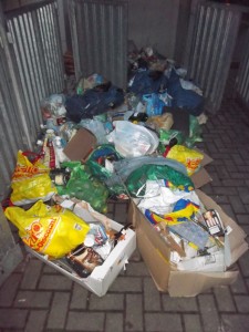 Müll0214 059.jpg (303.36 KiB) 10036 mal betrachtet Was für ein Haufen stinkender siffiger Dreck da liegt!