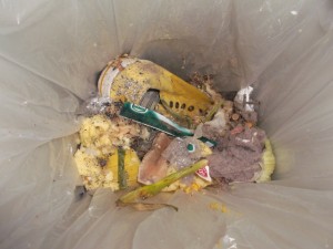 Müll0214 065.jpg (264.12 KiB) 4678 mal betrachtet Einfach nur: Igitt!!!