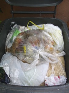 Marina07 047.jpg (375.03 KiB) 8211 mal betrachtet Darunter und darin liegt ganz "normaler" Hausmüll.