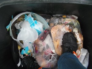 Müll0214 257.jpg (489.45 KiB) 5163 mal betrachtet "Ende Gelände"