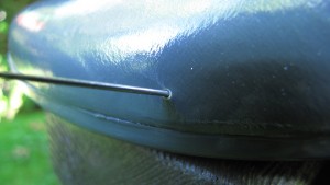 IMG_2181a.JPG