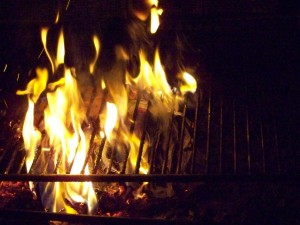 100_3924.JPG