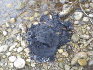 Unbenannt4.jpg (849.41 KiB) 9519 mal betrachtet Nur noch ein Häufchen Elend