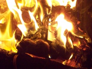 100_6615.JPG