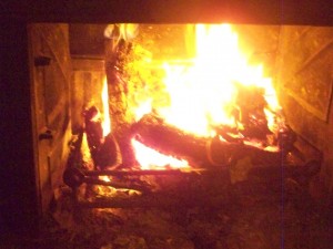 100_6618.JPG