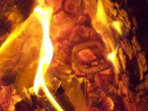 100_6634.JPG