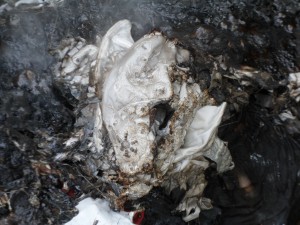 BRKL6.jpg (501.2 KiB) 5721 mal betrachtet Hier eine Nahaufnahme