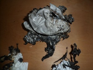 BRKL8.jpg (524.4 KiB) 5721 mal betrachtet Hier die Reste vom Brustteil