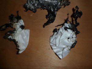 BRKL9.jpg (469.37 KiB) 6190 mal betrachtet Links ein Stück vom Rock, rechts eine Blume die das Glück hatte rechtzeitig sich zu lösen