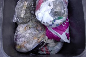 Jessica01 021.jpg (185.17 KiB) 8396 mal betrachtet Die Mülltonne war schon dabei, die "Vernichtungsschlacht" zu gewinnen ... .