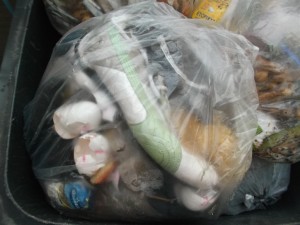 Müll0414 050.jpg (442.29 KiB) 5996 mal betrachtet Jessicas süße Pumas lagen auch schon knapp eine Woche im Hausmüll.