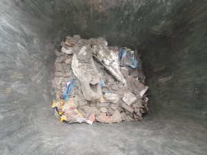 Müll0414 098.jpg (486.76 KiB) 3304 mal betrachtet Ich hätte sie am liebsten geschlagen, als die Mutter ihren Staubsaugerdreck in die Mülltonne geleert hat.