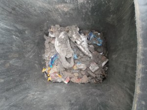 Müll0414 101.jpg (478.58 KiB) 3164 mal betrachtet Ich beherrschte mich, schloss den Tonnendeckel und rollte die Nachbarstonne zu mir in den Hof.