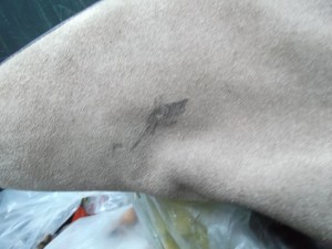 Müll0414 105.jpg (449.95 KiB) 6152 mal betrachtet Vermutlich hat dieser lächerlich kleine Fleck das Ende dieser nicht alltäglichen Stiefel bedeutet?! Den mache ich bei Gelegenheit weg. Sollte kein Problem sein.