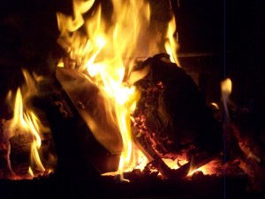 100_6746.JPG (132.26 KiB) 3660 mal betrachtet Feuriges Duett