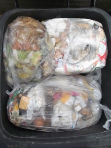 Müll0514 005.jpg (572.71 KiB) 5604 mal betrachtet Im Müll versunken und bald von allen vergessen und von niemandem vermisst!