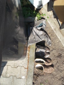Müll0614 004.jpg (517.67 KiB) 9072 mal betrachtet Da stehen nun die Stiefelchen und harren eines völlig ungewissen Schicksals!