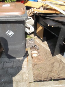 Müll0614 003.jpg (574.65 KiB) 8464 mal betrachtet Jan66 bei der "Arbeit"!