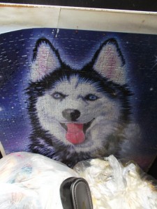Der süß dreinblickende Husky dürfte spätestens bei der Tonnenleerung sich in seine Einzelteile zerlegen!