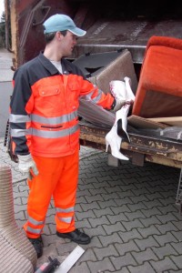 Müll0409 435.jpg (307.65 KiB) 15228 mal betrachtet Ein Orangener Engel entdeckt die Nuttenstiefel, greift sie sich und stopft sie noch schnell zum anderen Sperrmüll, der schon gepresst wird.