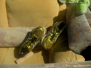 Müll0714 013.jpg (167.15 KiB) 7439 mal betrachtet Diese Laufschuhe glänzen wie ein Goldschatz, sind aber nur noch wertloser Abfall!