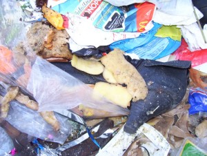 Müll0409 604.jpg (250.45 KiB) 10391 mal betrachtet Eigentlich schon ein "fester Bestandteil" dieses Müllbergs.