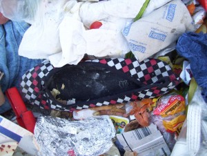 Müll0409 607.jpg (232.54 KiB) 10779 mal betrachtet Vielleicht vermisst ein junges Girl seine heißgeliebten karierten Ballerinas und die Mutter spielt den Unschuldsengel?