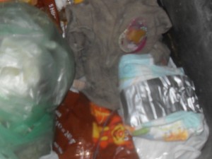 SDC14480.JPG