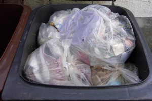 Müll0409 005.jpg (224.33 KiB) 9525 mal betrachtet Auf den allerersten Blick alles wie immer; so wie es halt aussieht, wenn man einen Mülltonnendeckel öffnet ... !