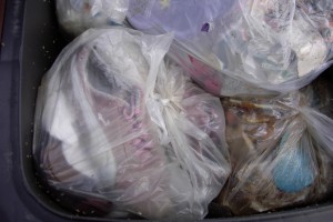 Müll0409 004.jpg (255.6 KiB) 9525 mal betrachtet Doch was ist da geiles im Müllbeutel drin; - und was krabbelt da an der Tonnenwand und schon auf dem Müllbeutel?!