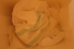 IMG_7406mod.jpg