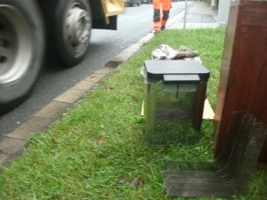 Müll1014 118.jpg (204.13 KiB) 6838 mal betrachtet Gleich ist der Grünstreifen wieder "sauber"!