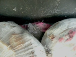 Bald rotten die pinken Stiefel im Dunklen vor sich hin.