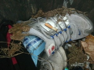 Müll1014 259.jpg (227.41 KiB) 2688 mal betrachtet Was meint ihr: Wo "gehören" ausrangierte Shox hin: In den Küchenmüllbeutel, zum Sportlermüll in der Umkleide, oder doch zum Sperrmüll?