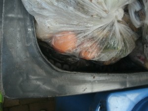 Die Asics lagen nun noch ziemlich tief im Dreck, obwohl sie doch die &quot;letzten&quot; waren, die diesmal in unsere Mülltonne kommen.