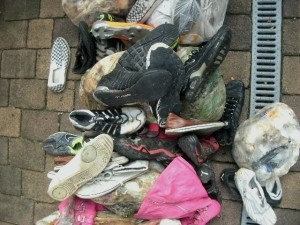 Der ganze stinkende Dreck gehört dringendst auf die Mülldeponie.