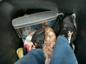 Müll1114 055.jpg (170.56 KiB) 4870 mal betrachtet Auf weichem Müll rumzulatschen ist gar nicht so einfach wie es aussieht, denn es gibt bei einer solchen "Mischung" immer Überraschungen, wenn eine Ecke unerwartet stark nachgibt.