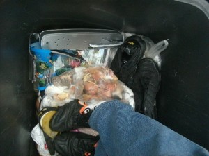 Müll1114 059.jpg (199.13 KiB) 4873 mal betrachtet Die "toten" Pumas mussten auch noch eingestampft werden.